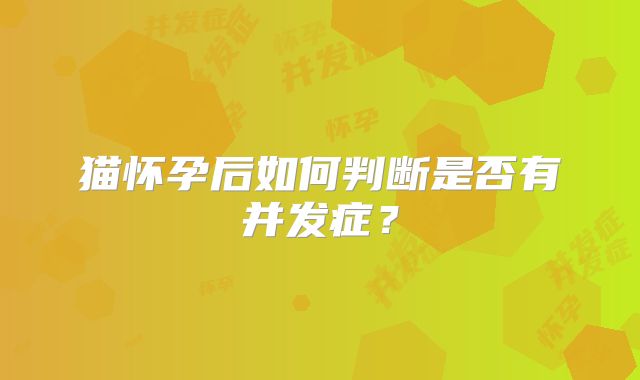 猫怀孕后如何判断是否有并发症？
