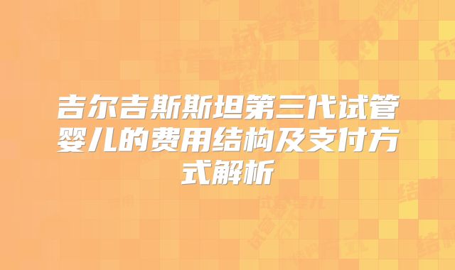 吉尔吉斯斯坦第三代试管婴儿的费用结构及支付方式解析