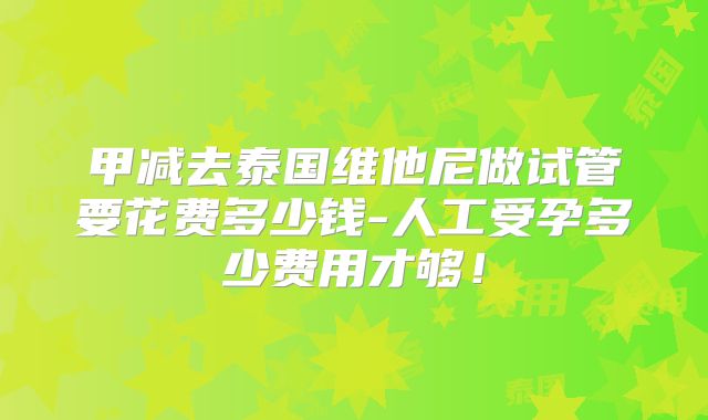 甲减去泰国维他尼做试管要花费多少钱-人工受孕多少费用才够！