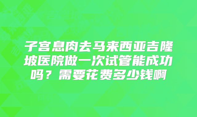 子宫息肉去马来西亚吉隆坡医院做一次试管能成功吗?需要花费多少钱啊