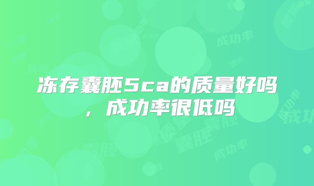 冻存囊胚5ca的质量好吗,成功率很低吗