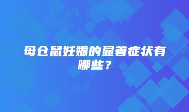 母仓鼠妊娠的显著症状有哪些?