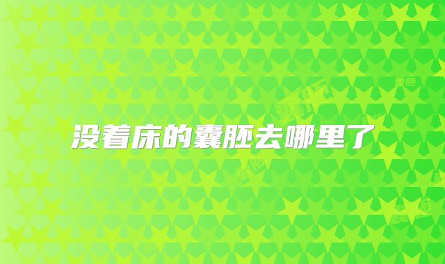 没着床的囊胚去哪里了