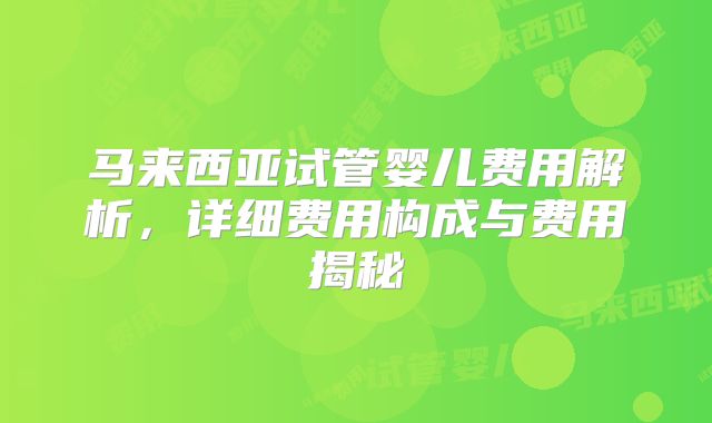 马来西亚试管婴儿费用解析，详细费用构成与费用揭秘