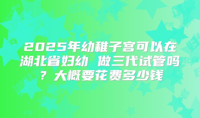 2025年幼稚子宫可以在湖北省妇幼 做三代试管吗？大概要花费多少钱
