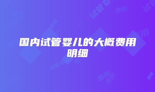 国内试管婴儿的大概费用明细