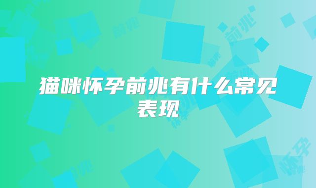 猫咪怀孕前兆有什么常见表现