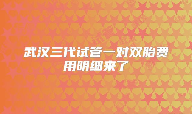 武汉三代试管一对双胎费用明细来了