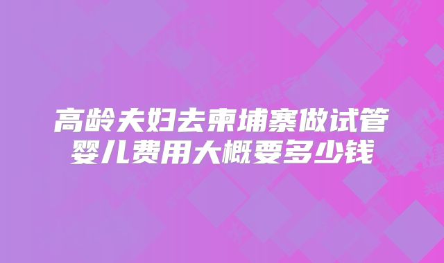 高龄夫妇去柬埔寨做试管婴儿费用大概要多少钱