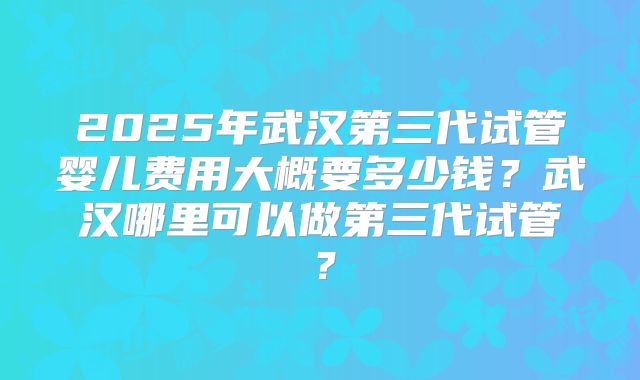 2025年武汉第三代试管婴儿费用大概要多少钱？武汉哪里可以做第三代试管？