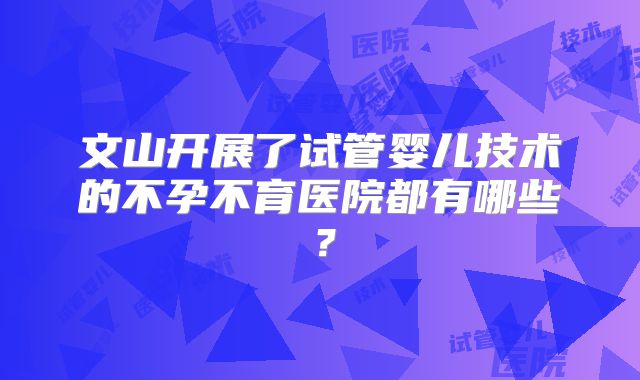 文山开展了试管婴儿技术的不孕不育医院都有哪些？