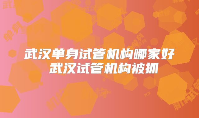 武汉单身试管机构哪家好 武汉试管机构被抓