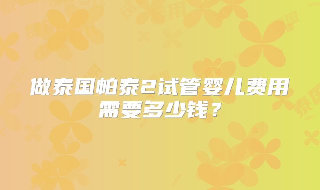 做泰国帕泰2试管婴儿费用需要多少钱?