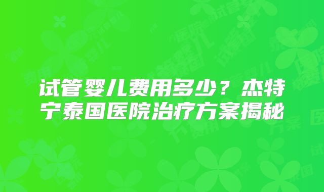 试管婴儿费用多少?杰特宁泰国医院治疗方案揭秘