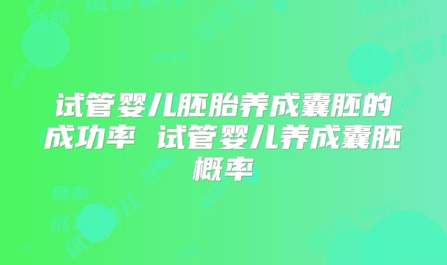 试管婴儿胚胎养成囊胚的成功率 试管婴儿养成囊胚概率