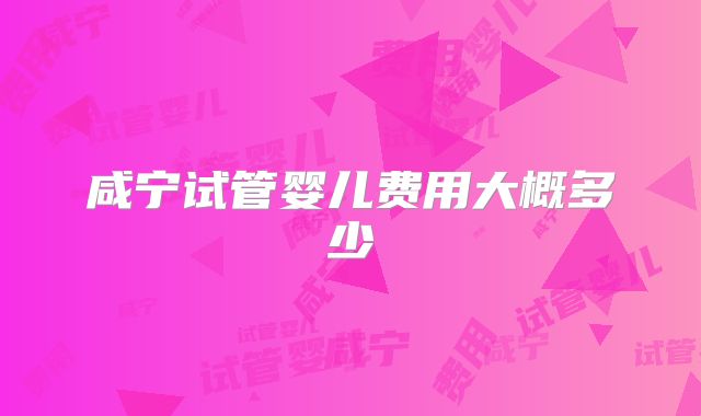 咸宁试管婴儿费用大概多少