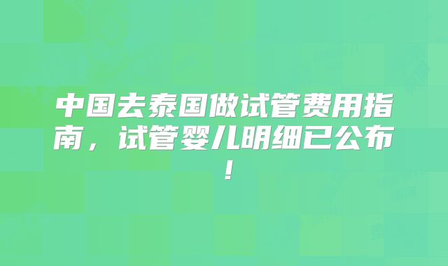 中国去泰国做试管费用指南,试管婴儿明细已公布!
