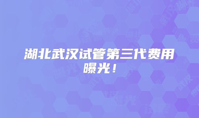 湖北武汉试管第三代费用曝光!