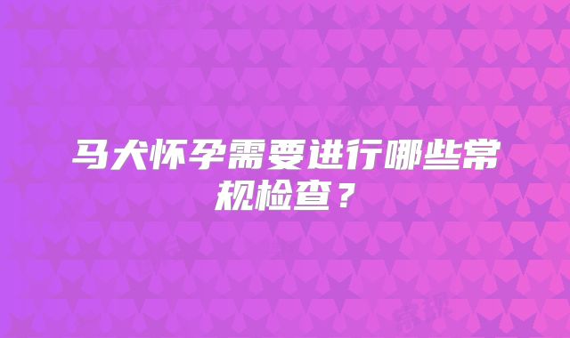 马犬怀孕需要进行哪些常规检查？
