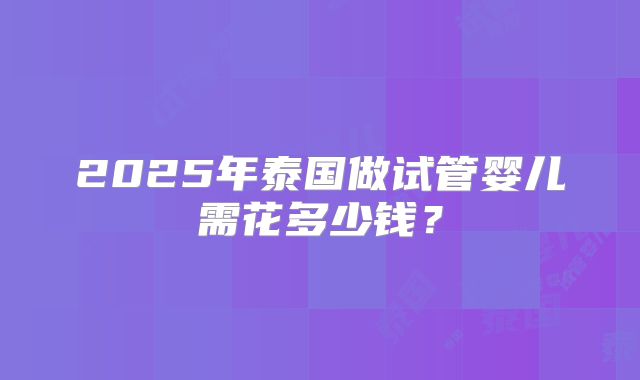 2025年泰国做试管婴儿需花多少钱？