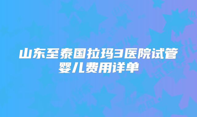 山东至泰国拉玛3医院试管婴儿费用详单