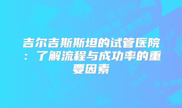 吉尔吉斯斯坦的试管医院:了解流程与成功率的重要因素