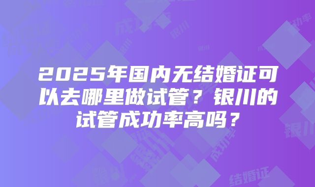 2025年国内无结婚证可以去哪里做试管?银川的试管成功率高吗?