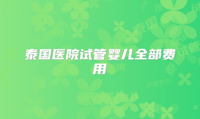 泰国医院试管婴儿全部费用