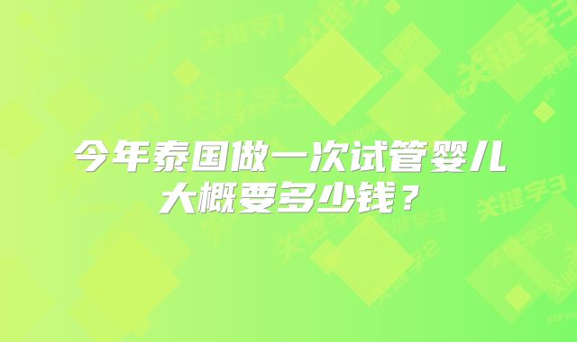 今年泰国做一次试管婴儿大概要多少钱?