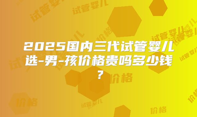 2025国内三代试管婴儿选-男-孩价格贵吗多少钱?