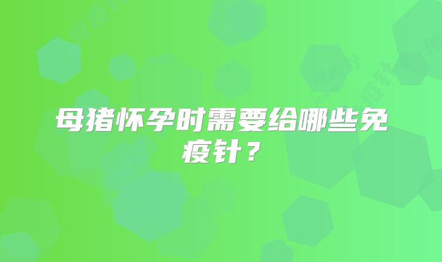 母猪怀孕时需要给哪些免疫针?