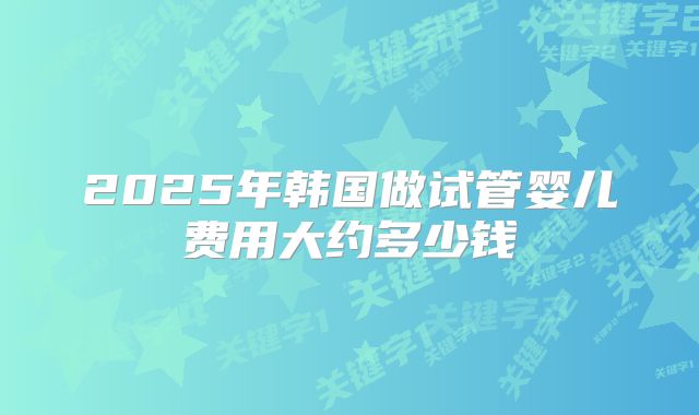 2025年韩国做试管婴儿费用大约多少钱
