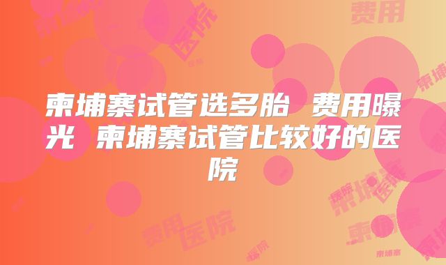 柬埔寨试管选多胎 费用曝光 柬埔寨试管比较好的医院