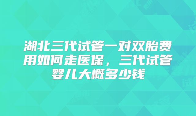 湖北三代试管一对双胎费用如何走医保，三代试管婴儿大概多少钱