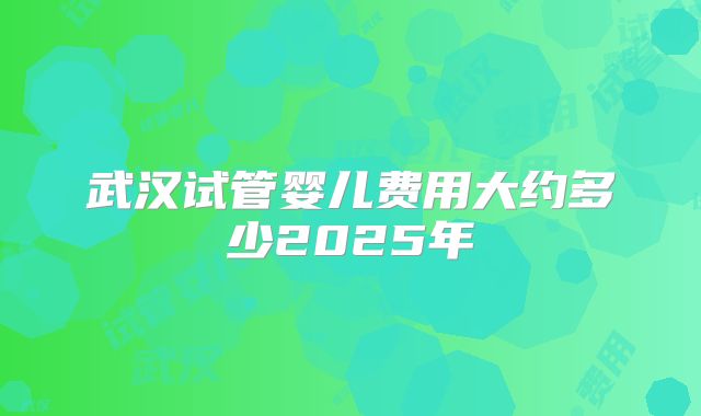 武汉试管婴儿费用大约多少2025年