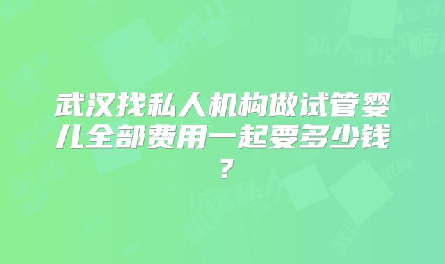 武汉找私人机构做试管婴儿全部费用一起要多少钱?