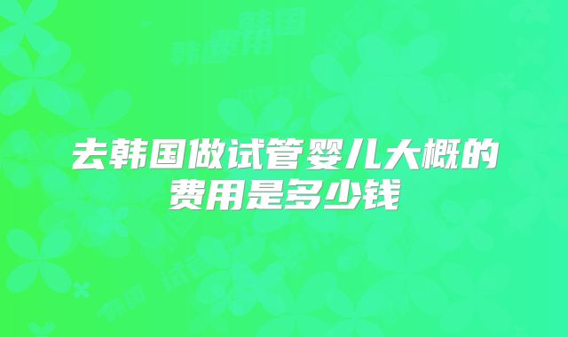 去韩国做试管婴儿大概的费用是多少钱