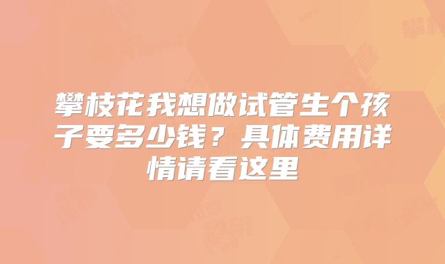 攀枝花我想做试管生个孩子要多少钱?具体费用详情请看这里