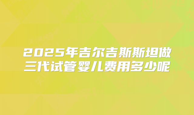 2025年吉尔吉斯斯坦做三代试管婴儿费用多少呢