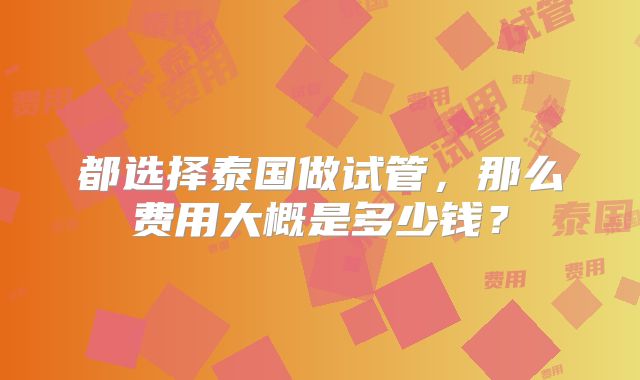都选择泰国做试管，那么费用大概是多少钱？