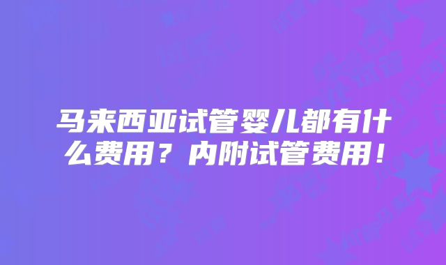 马来西亚试管婴儿都有什么费用?内附试管费用!