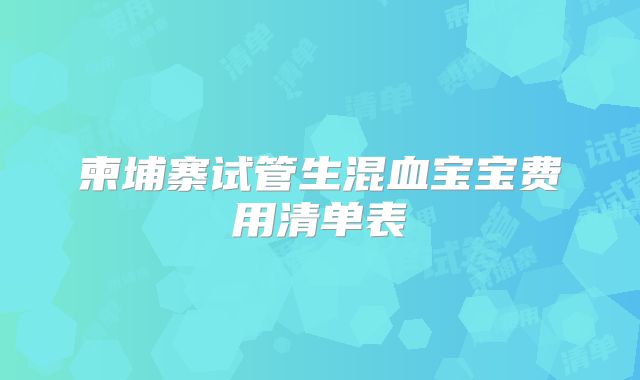 柬埔寨试管生混血宝宝费用清单表