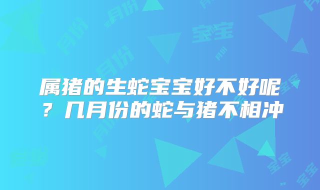 属猪的生蛇宝宝好不好呢？几月份的蛇与猪不相冲