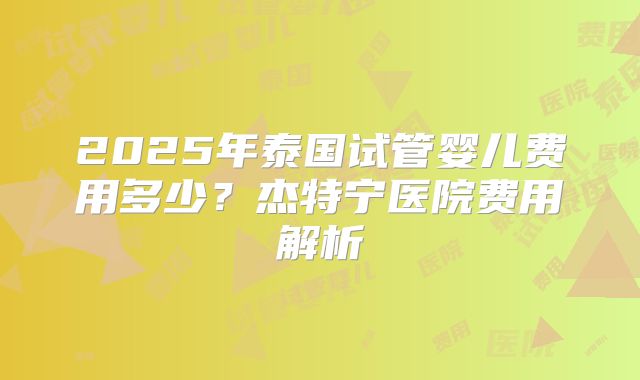 2025年泰国试管婴儿费用多少？杰特宁医院费用解析