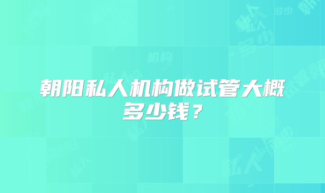 朝阳私人机构做试管大概多少钱?