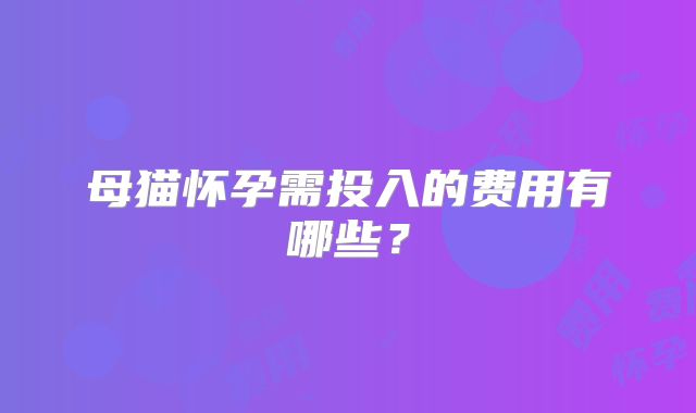 母猫怀孕需投入的费用有哪些？