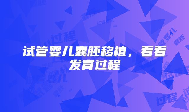 试管婴儿囊胚移植,看看发育过程