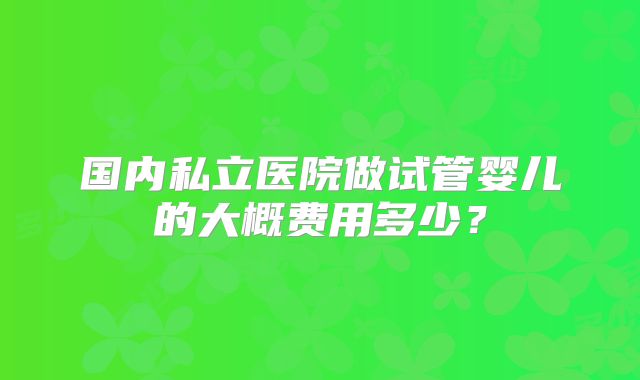 国内私立医院做试管婴儿的大概费用多少?