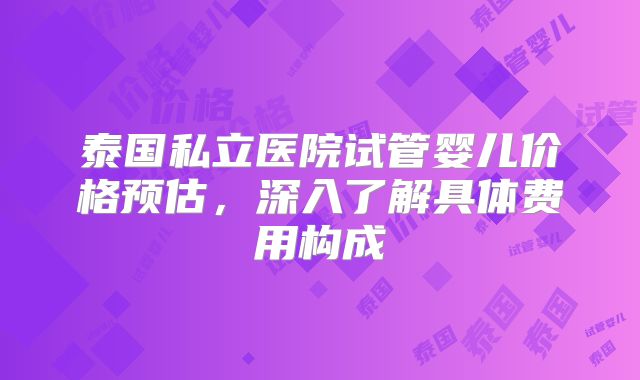 泰国私立医院试管婴儿价格预估，深入了解具体费用构成