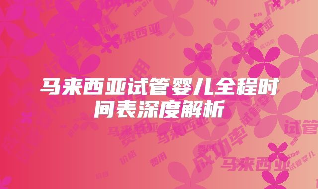 马来西亚试管婴儿全程时间表深度解析